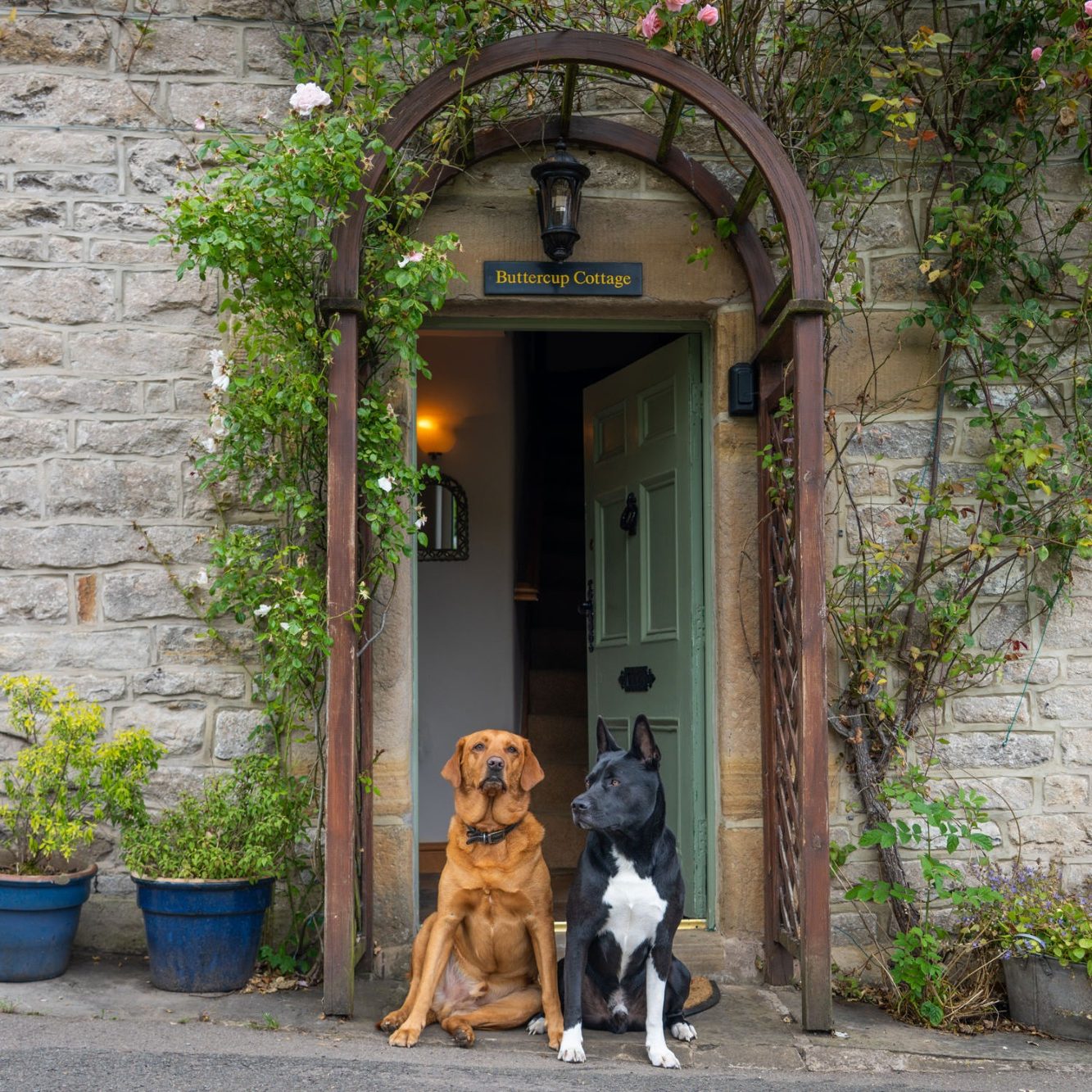Luxury self-catering accommodation Castleton, Peak District cottage Dog friendly cottage accommodation Castleton